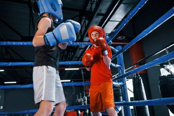 Dois Meninos Equipamentos Proteção Têm Sparring Luta Ringue Boxe — Fotografia de Stock