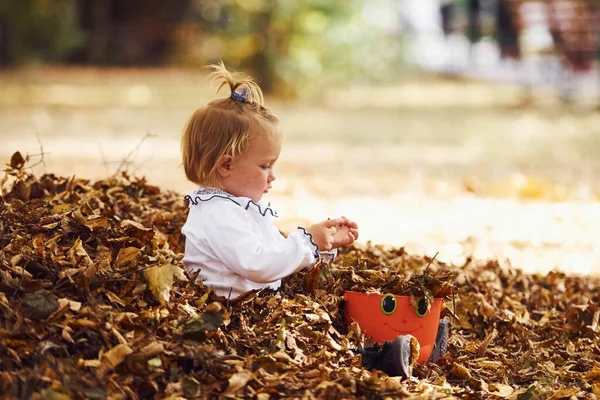Portrait Cute Little Girl Sits Autumn Park Playing Leaves — Stock Photo, Image