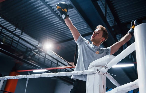Man Protective Gloves White Shirt Celebrating Victory Boxing Ring — Stock Photo, Image