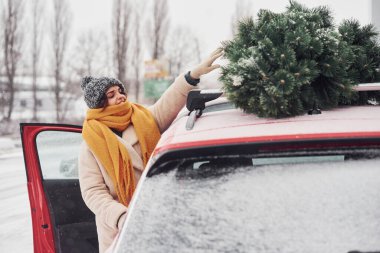 Olumlu genç kız arabanın yanında duruyor tepesinde yeşil Noel ağacı var.