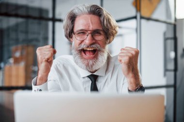 Gri saçlı ve sakallı olgun iş adamı ofiste dizüstü bilgisayara karşı..