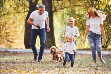 Neşeli genç aile birlikte bir sonbahar parkında yürüyüş yapıyor..