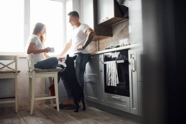 Mutfakta sevimli köpekleri olan mutlu, genç ve modern bir çift..