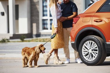 Hoş bir çift, köpeğiyle birlikte arabanın yanında yürüyüşe çıktı..