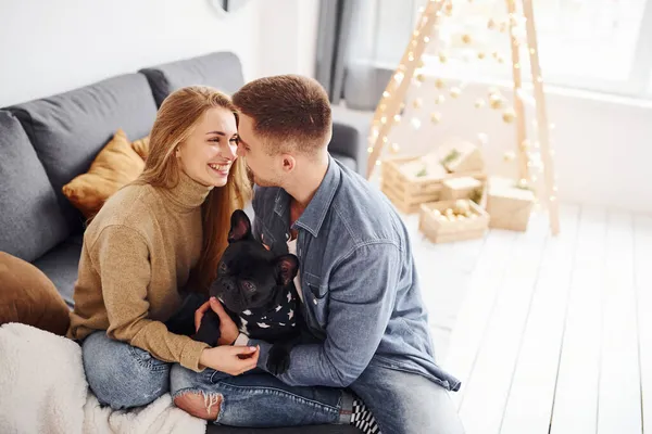 幸福的年轻夫妇和他们可爱的狗坐在家里的沙发上 他们的圣诞树上挂着他们可爱的小狗 — 图库照片