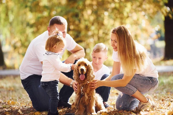 Joyeux Jeune Famille Avec Chien Reposer Dans Parc Automne Ensemble — Photo