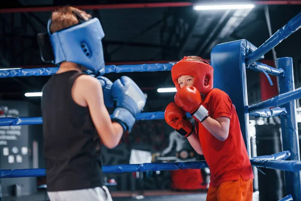 Two Boys Protective Equipment Have Sparring Fighting Boxing Ring — Stock Photo, Image