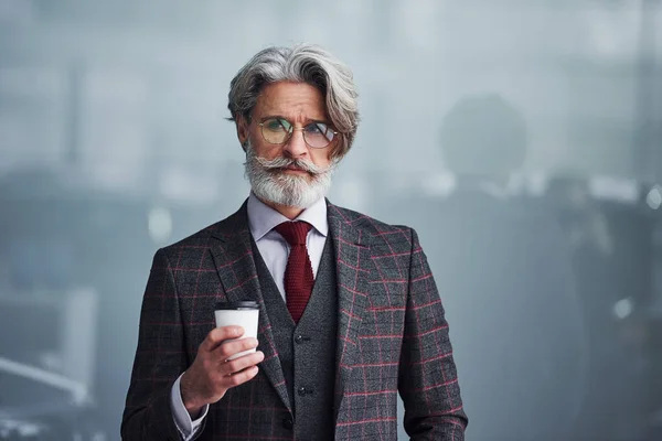 Hombre Negocios Senior Traje Corbata Con Pelo Gris Barba Pie —  Fotos de Stock