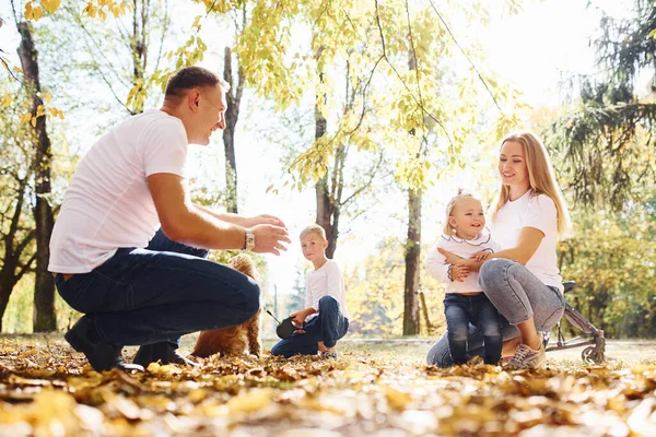 Famiglia Giovane Allegra Riposo Parco Autunno Insieme — Foto Stock