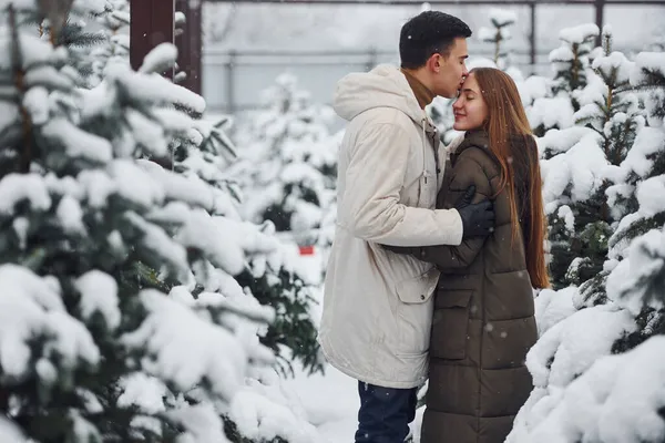 Young Cute Couple Walking Outdoors Fresh Christmas Fir Trees — Stock Photo, Image