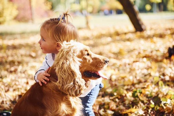 Linda Niña Abrazando Perro Parque Otoño — Foto de Stock