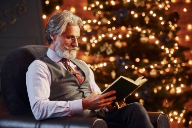 Süslü Noel odasında gri saçlı ve sakallı bir son sınıf öğrencisinin portresi..