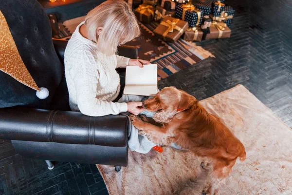 Grootmoeder Met Boek Hand Binnen Met Hond Kerstversierde Kamer — Stockfoto