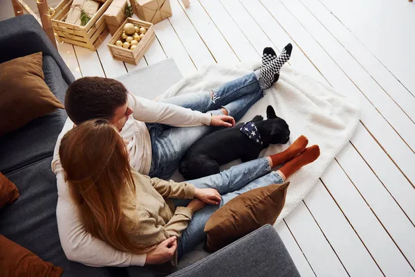 Feliz Jovem Casal Moderno Sentado Sofá Casa Com Seu Cão — Fotografia de Stock