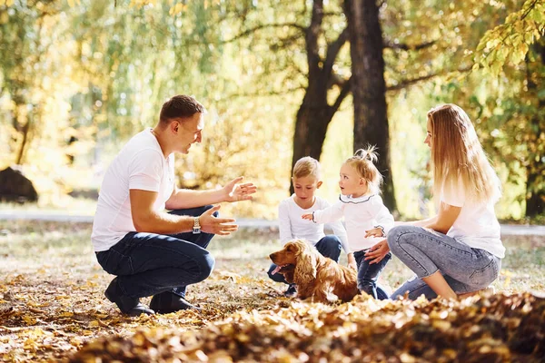 Famiglia Giovane Allegra Con Cane Riposo Parco Autunno Insieme — Foto Stock