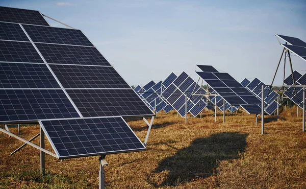 Veld Met Zonne Energie Zonnige Dag Conceptie Van Ecologie Brandstof — Stockfoto