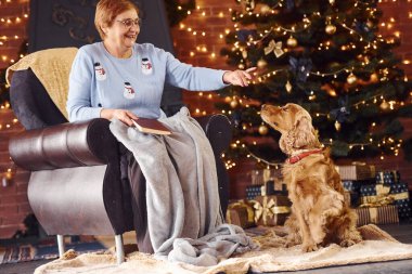 Noel süslemeli odada elinde kitapla ve köpekle büyükannesi..