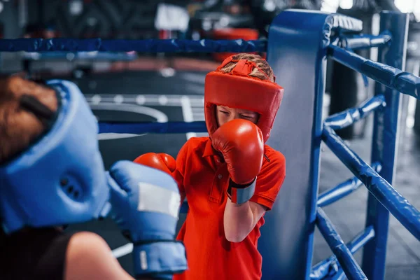 Dos Chicos Equipo Protección Tienen Combate Lucha Ring Boxeo —  Fotos de Stock