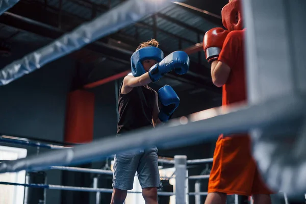 Two Boys Protective Equipment Have Sparring Fighting Boxing Ring — Stock Photo, Image