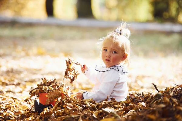 秋の公園に座って葉と遊ぶかわいい女の子の肖像画 — ストック写真