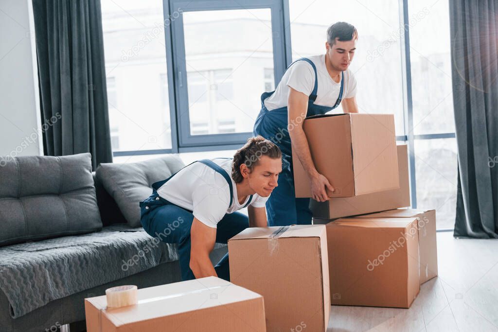 Busy day. Two young movers in blue uniform working indoors in the room.