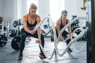 Egzersiz yapmakla meşgul. Bir grup genç sporcu spor salonunda iç içe geçiyor..