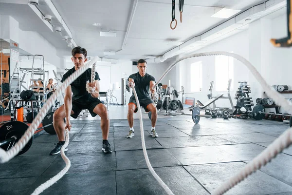 Young people with sportive body shapes doing crossfit by using knots.