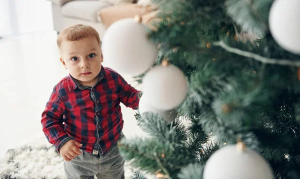 Menino Bonito Roupas Festivas Está Dentro Casa Perto Árvore Natal — Fotografia de Stock