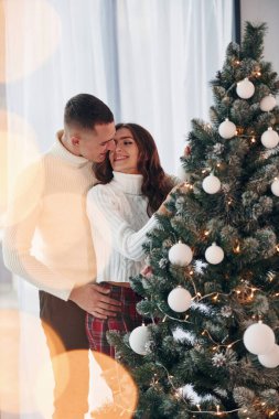 Köknar yakınında duruyor. Genç romantik çift yeni yılı içeride kutluyor..