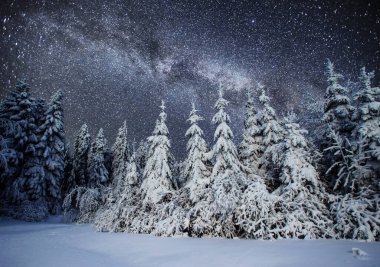 Kış gecelerinde gökyüzünde yıldızlar ve galaksilerle birlikte ormanlı görkemli bir manzara. Manzara geçmişi. NASA tarafından döşenmiş elementler.