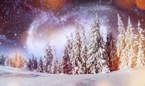 Galaxy Sky Majestic Landscape Forest Winter Time Scenery Background Elements — Stock fotografie