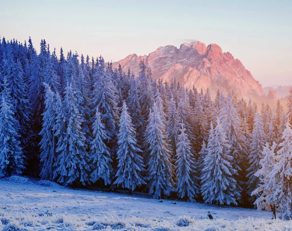 Majestátní Krajina Lesem Zimním Období Pozadí Scenérie — Stock fotografie