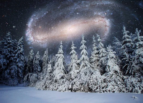 Majestätische Landschaft Mit Wald Der Winternacht Mit Sternen Und Galaxie — Stockfoto