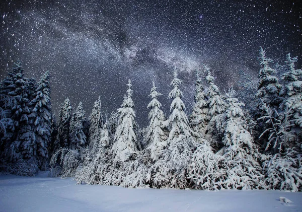 Majestuoso Paisaje Con Bosque Noche Invierno Con Estrellas Galaxias Cielo — Foto de Stock