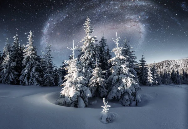 Paesaggio Maestoso Con Foresta Durante Notte Inverno Con Stelle Galassie — Foto Stock