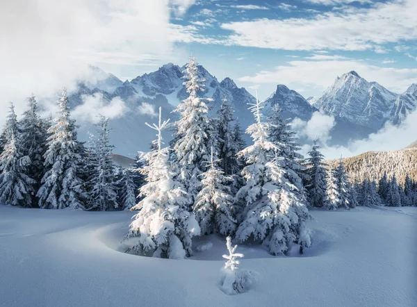 Majestátní Krajina Lesem Zimním Období Pozadí Scenérie — Stock fotografie