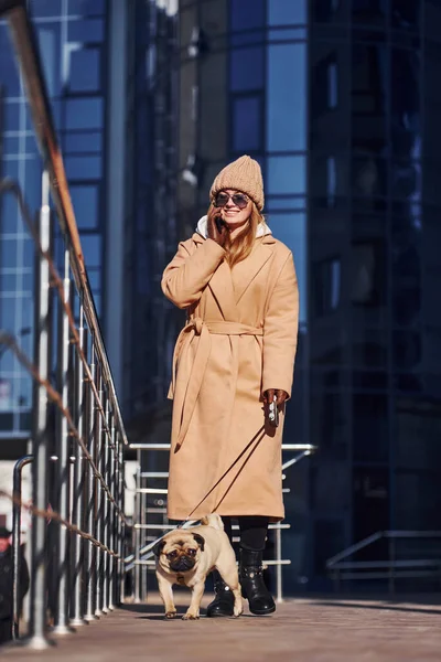 Woman Warm Clothes Have Walk Her Little Pug Dog Business — Stock Photo, Image