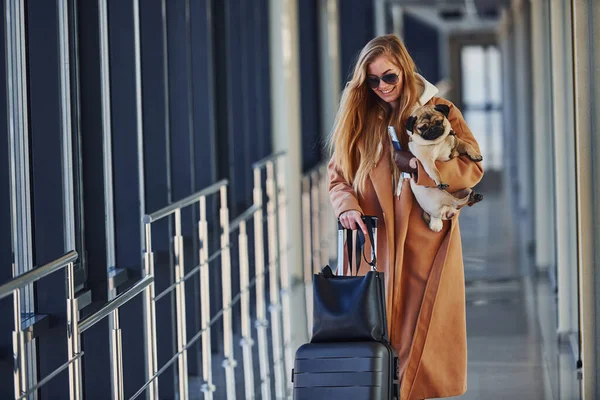 Young Female Passenger Warm Clothes Walking Her Dog Airport Hall — Stock Photo, Image