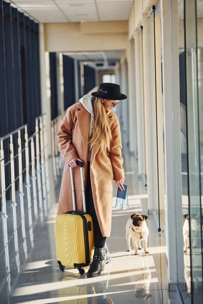 Молодая Пассажирка Теплой Одежде Билетами Собака Багаж Зале Аэропорта — стоковое фото