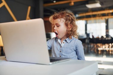 Eğitimde ya da eğlencede dizüstü bilgisayar kullanan günlük kıyafetli akıllı çocuk..