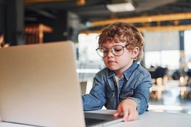 Smart child in casual clothes and in glasses using laptop for education purposes.