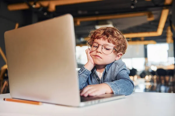 Smart Child Casual Clothes Glasses Using Laptop Education Purposes — Stock Photo, Image