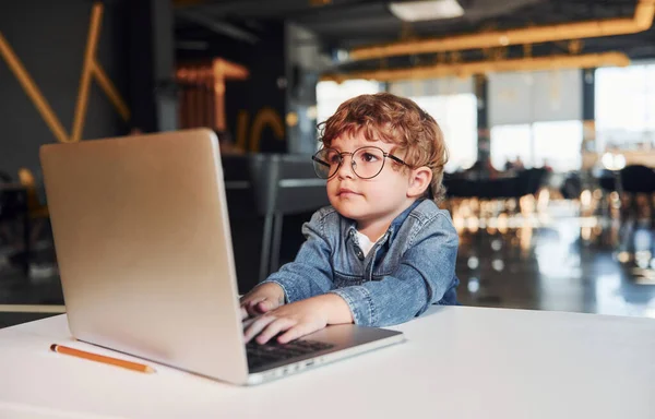 Smart Child Casual Clothes Glasses Using Laptop Education Purposes — Stock Photo, Image