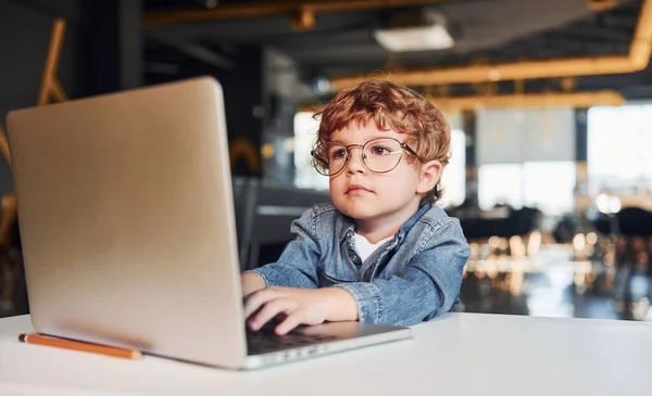 Smart Child Casual Clothes Glasses Using Laptop Education Purposes — Stock Photo, Image