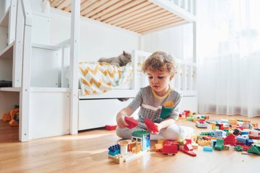 Cute little boy sitting and have fun indoors in the bedroom with plastic construction set. Cat at background.