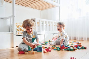 Two little boys have fun indoors in the bedroom with plastic construction set. Cat sits behind them.