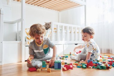 Two little boys have fun indoors in the bedroom with plastic construction set. Cat sits behind them.