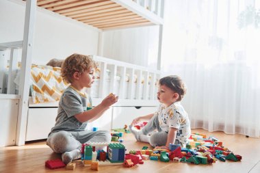 Two little boys have fun indoors in the bedroom with plastic construction set. Cat sits behind them.