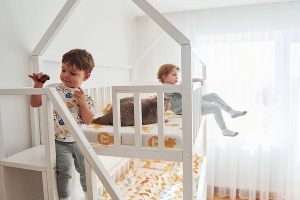 Two Little Boys Resting Have Fun Indoors Bedroom Together Cat — Stock Photo, Image