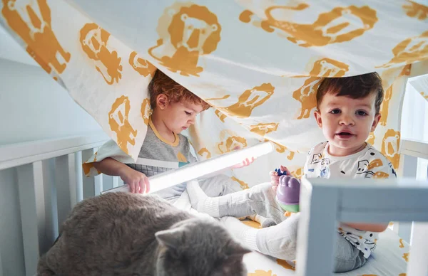 İki küçük çocuk dinleniyor ve battaniyenin altında birlikte eğleniyorlar. Kedi uzanıyor..